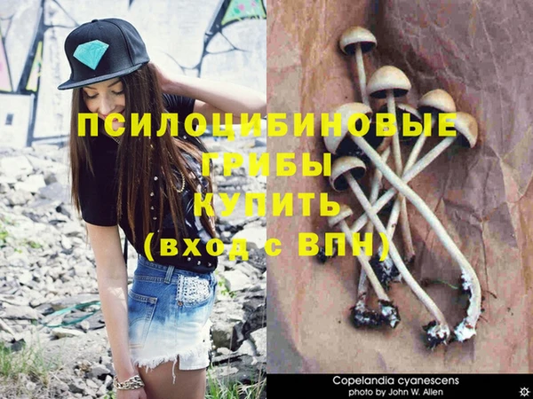 марки nbome Михайлов