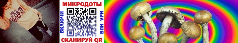 Псилоцибиновые грибы Magic Shrooms Краснодар