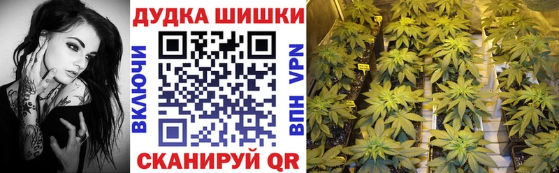 Бошки Шишки Amnesia Краснодар